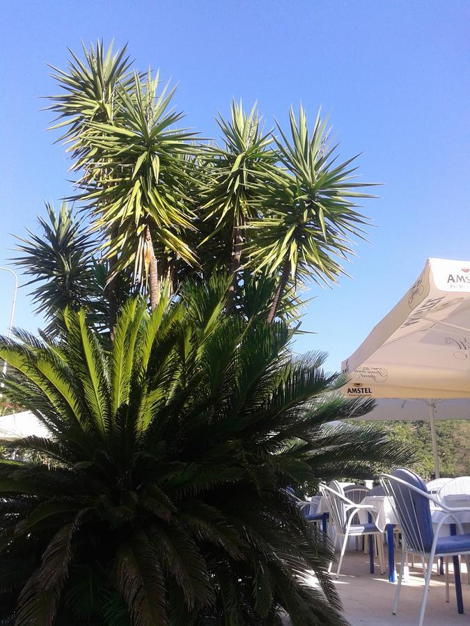 בודווה Hotel Jovana מראה חיצוני תמונה